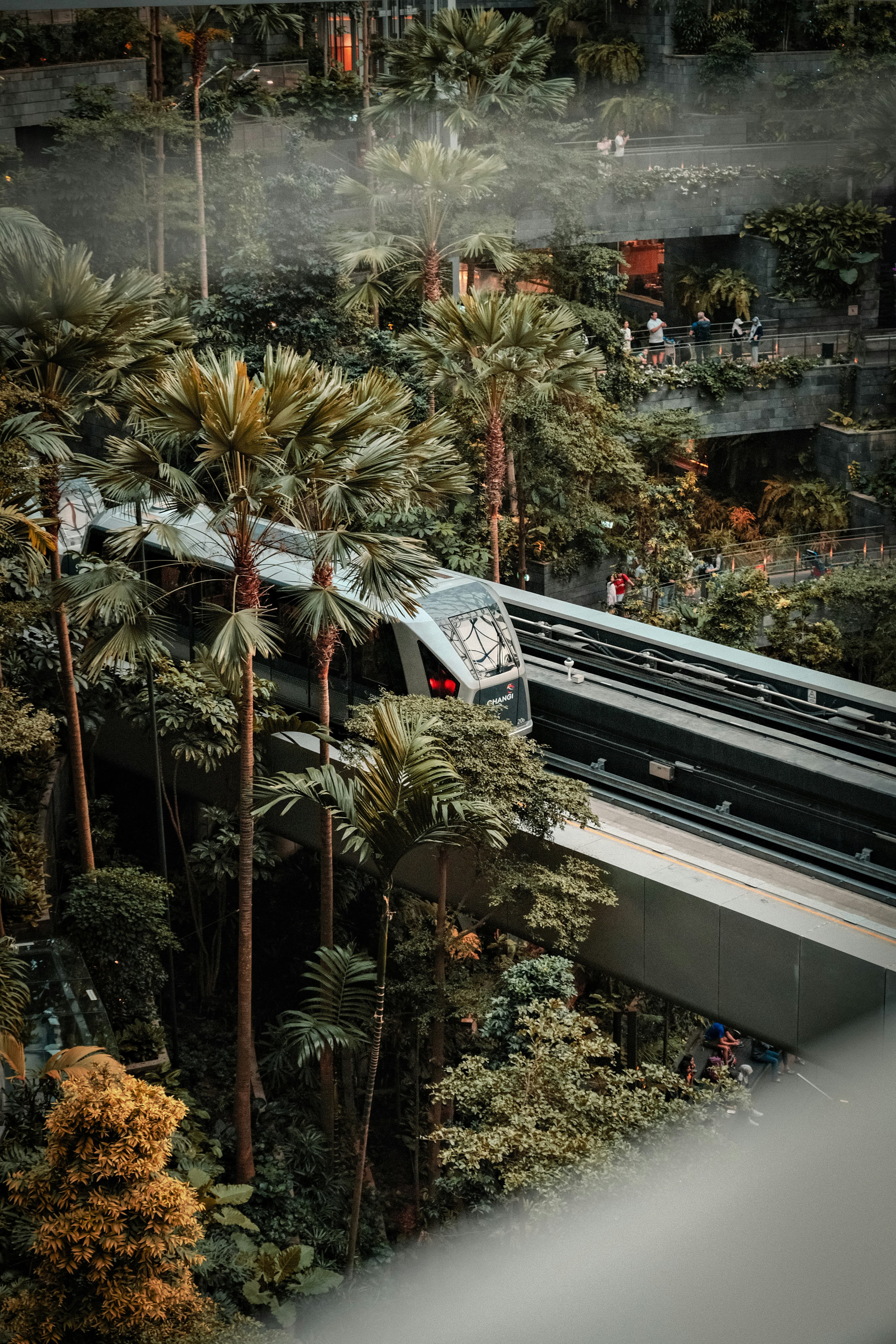 Singapore Gardens by the Bay