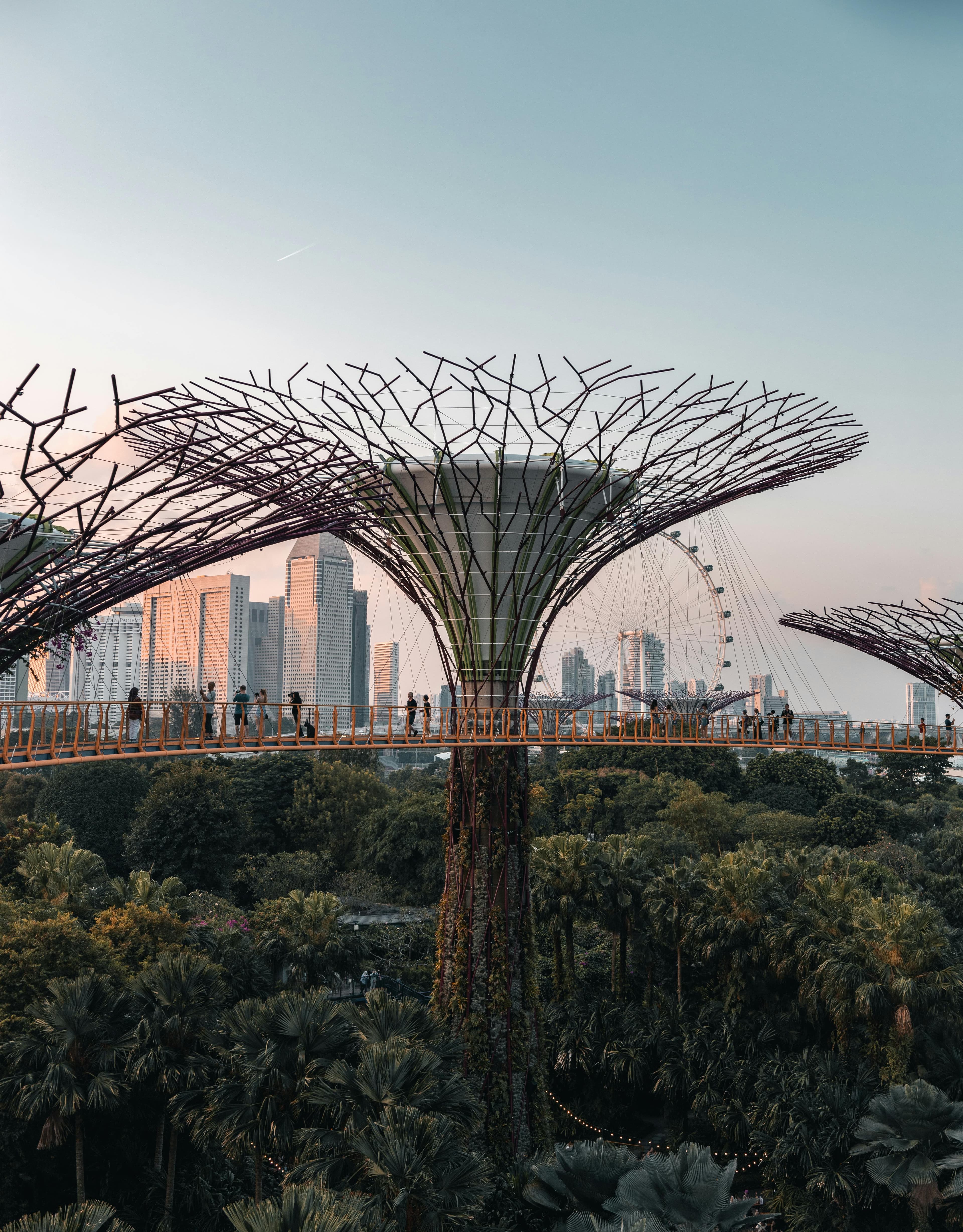 Gardens by the Bay Supertrees and OCBC Skyway in Singapore